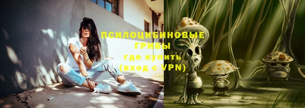мяу мяу мука Чехов