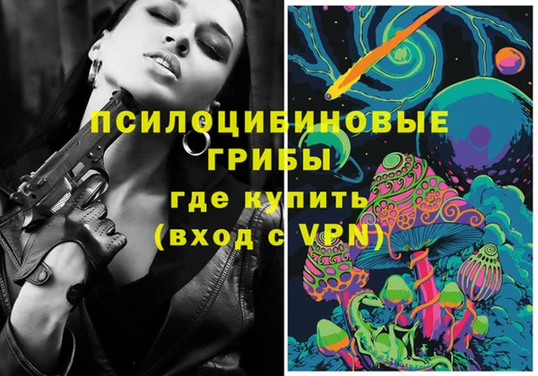 эйфоретик Губаха
