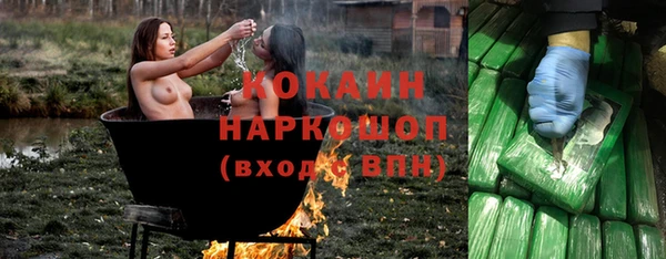 PSILOCYBIN Переславль-Залесский