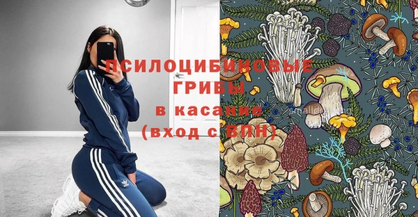 PSILOCYBIN Переславль-Залесский