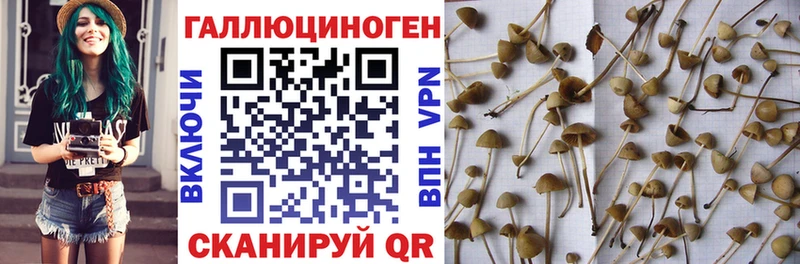 Псилоцибиновые грибы Magic Shrooms  купить закладку  Поронайск 