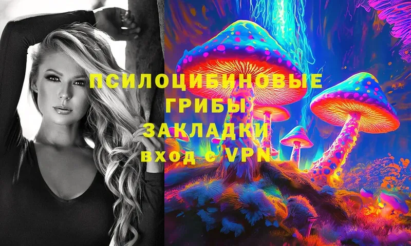 дарнет шоп  Поронайск  Псилоцибиновые грибы Psilocybe 